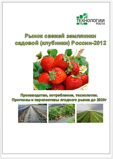 Рынок свежей земляники России-2012. Готовое исследование